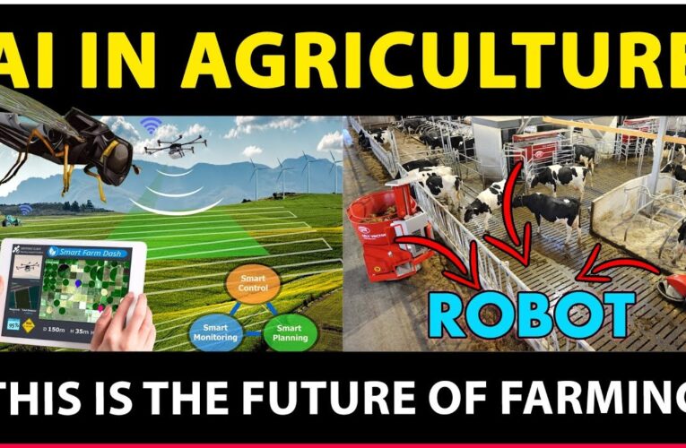 חדשנות בחקלאות: ניטור וקצירה באמצעות פיתוח בינה מלאכותית